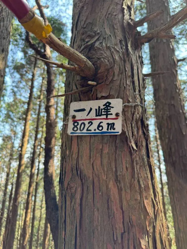 【登山日記】苔むした石畳など見どころいっぱいの大洞山~尼ヶ岳を縦走