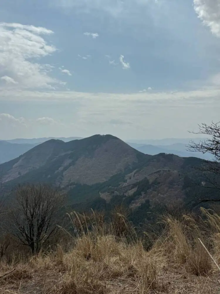 【登山日記】苔むした石畳など見どころいっぱいの大洞山~尼ヶ岳を縦走