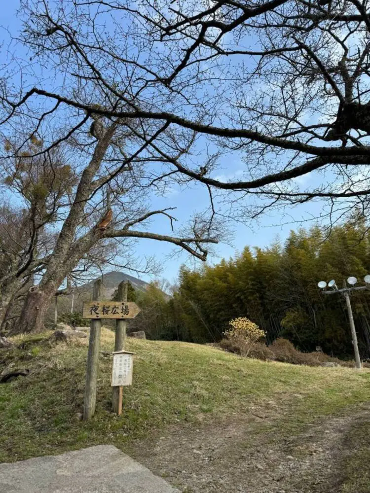 【登山日記】苔むした石畳など見どころいっぱいの大洞山~尼ヶ岳を縦走