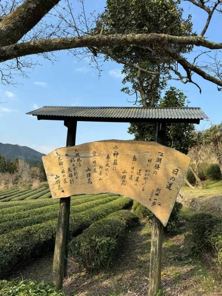【登山日記】苔むした石畳など見どころいっぱいの大洞山~尼ヶ岳を縦走
