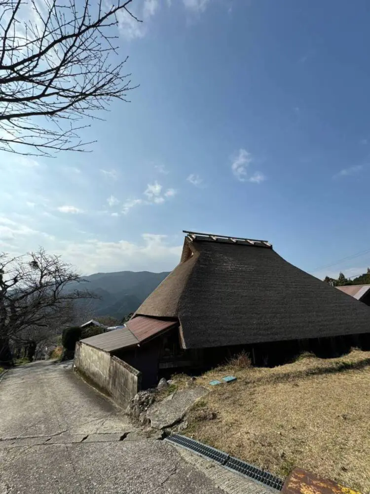 【登山日記】苔むした石畳など見どころいっぱいの大洞山~尼ヶ岳を縦走