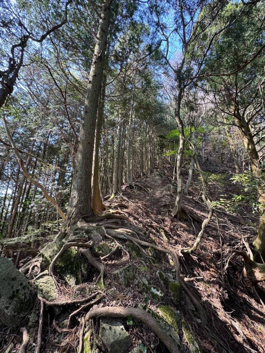 【登山日記】亀山セブン「錫杖ヶ岳」山頂は狭いけど眺めは絶景