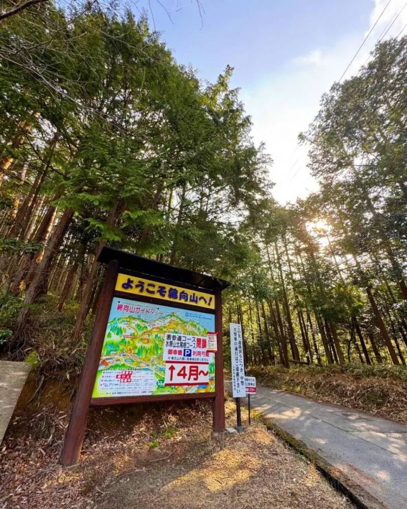【登山活動】綿向山から竜王山へ縦走、鈴鹿山脈を見ながら縦走