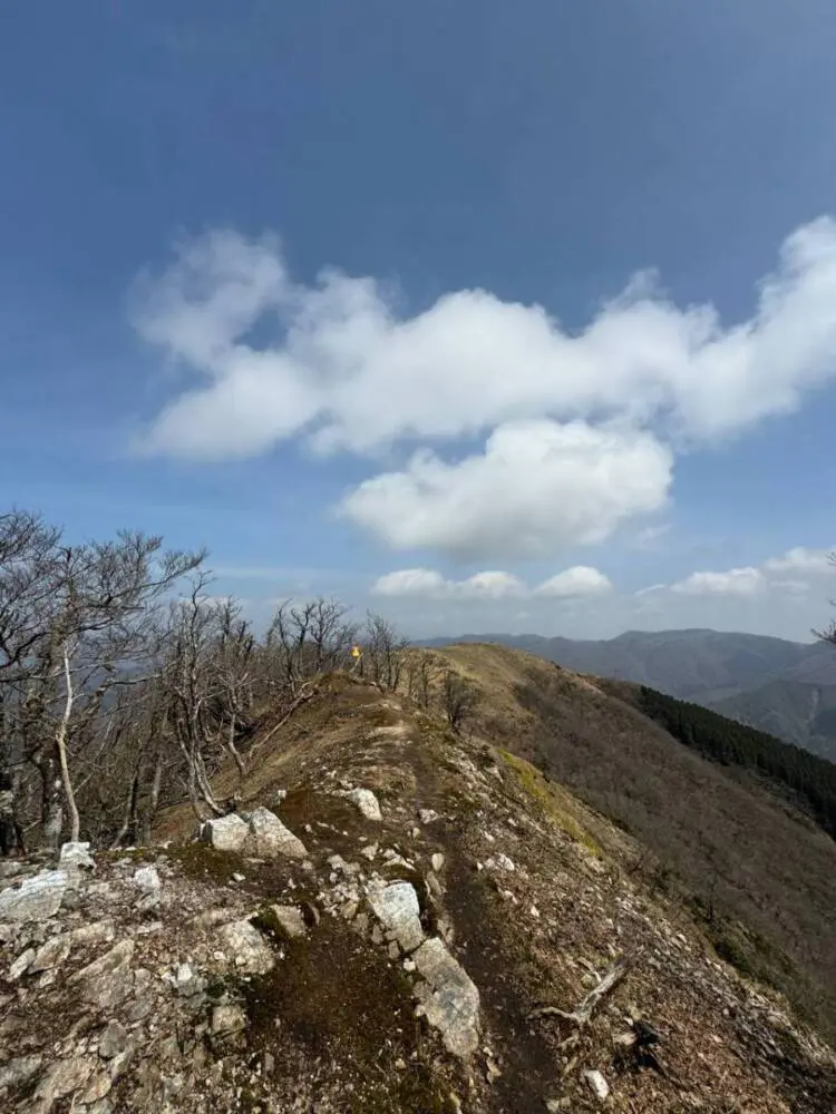 【登山活動】綿向山から竜王山へ縦走、鈴鹿山脈を見ながら縦走