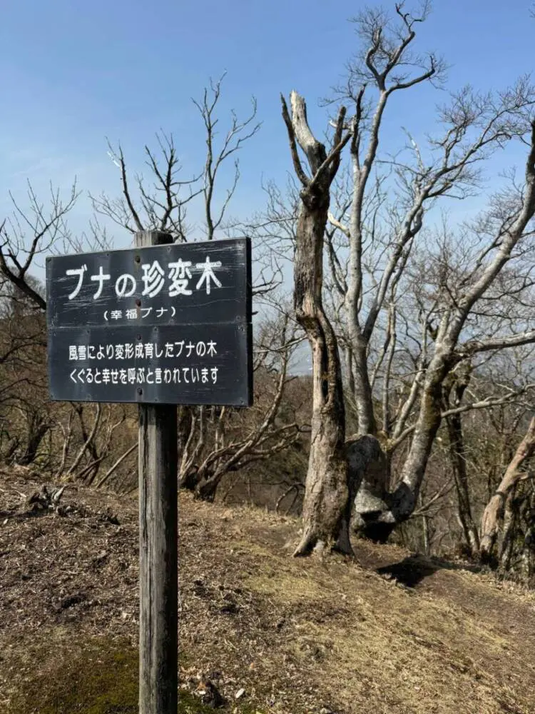 【登山活動】綿向山から竜王山へ縦走、鈴鹿山脈を見ながら縦走
