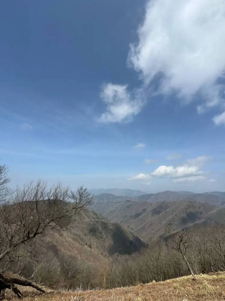 【登山活動】綿向山から竜王山へ縦走、鈴鹿山脈を見ながら縦走