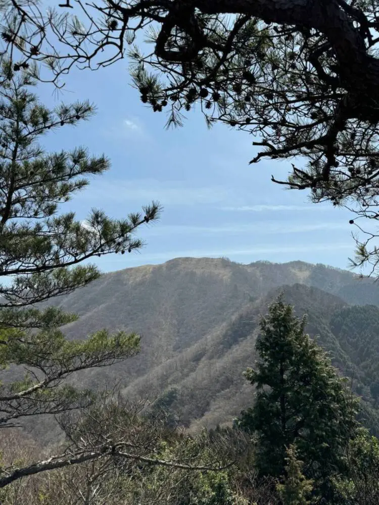 【登山活動】綿向山から竜王山へ縦走、鈴鹿山脈を見ながら縦走