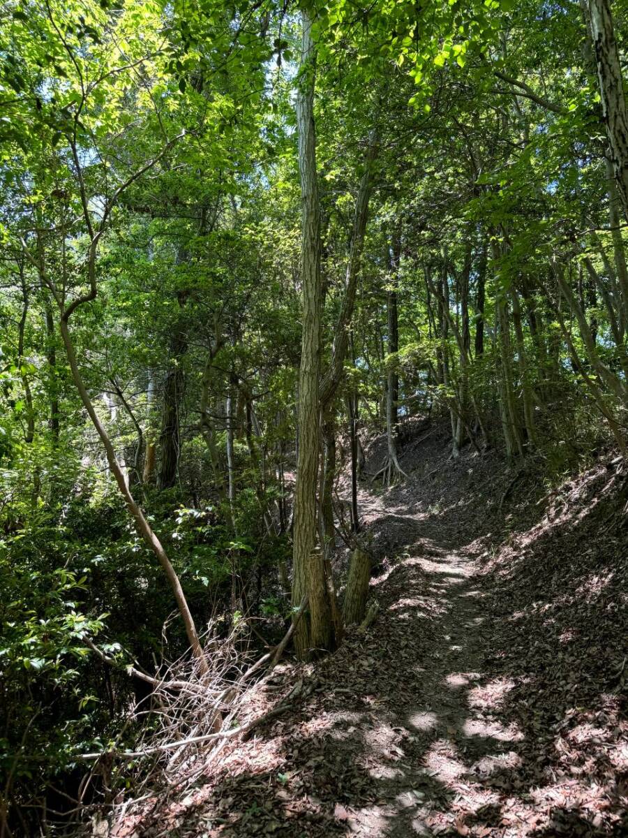 【登山日記】生駒山から信貴山まで縦走、お手軽にハイキングが楽しめる
