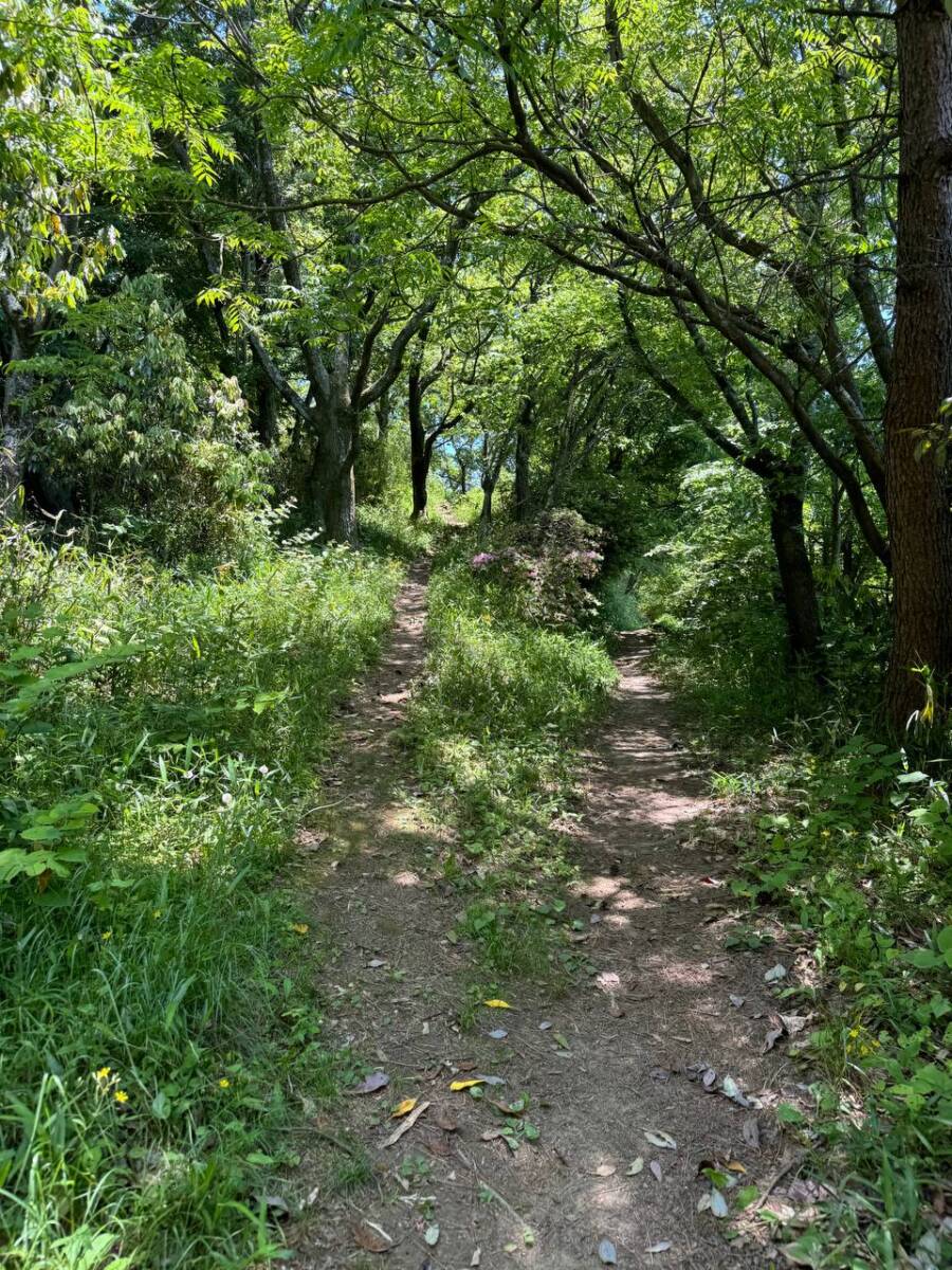 【登山日記】生駒山から信貴山まで縦走、お手軽にハイキングが楽しめる