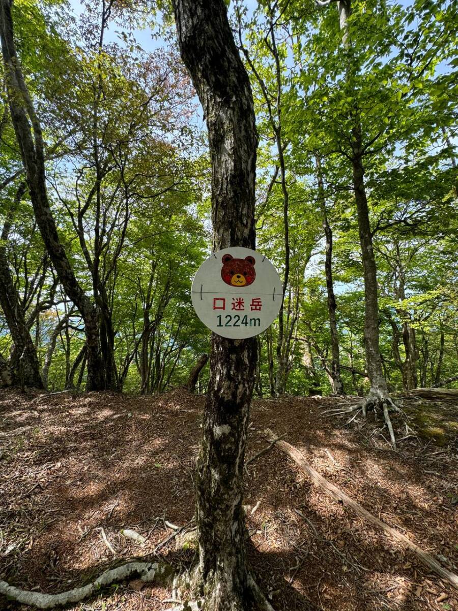【登山日記】香肌イレブン「迷岳」上級者向けで登りも下りもハードなコース