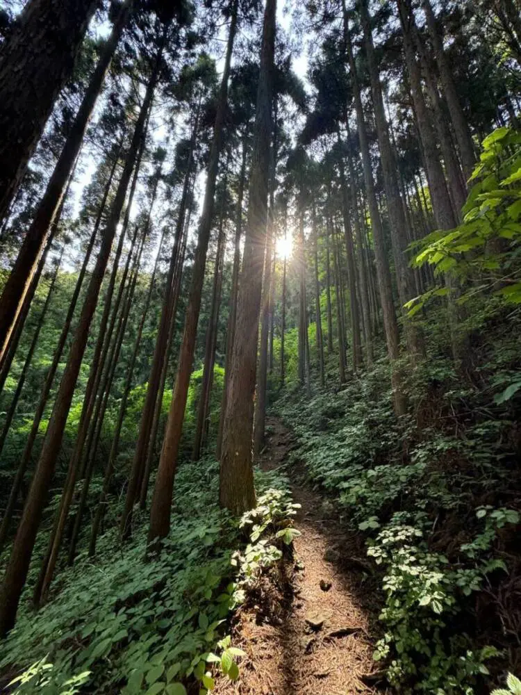 【登山活動】大峰山「山上ヶ岳」は壮大な光景が広がっていました。
