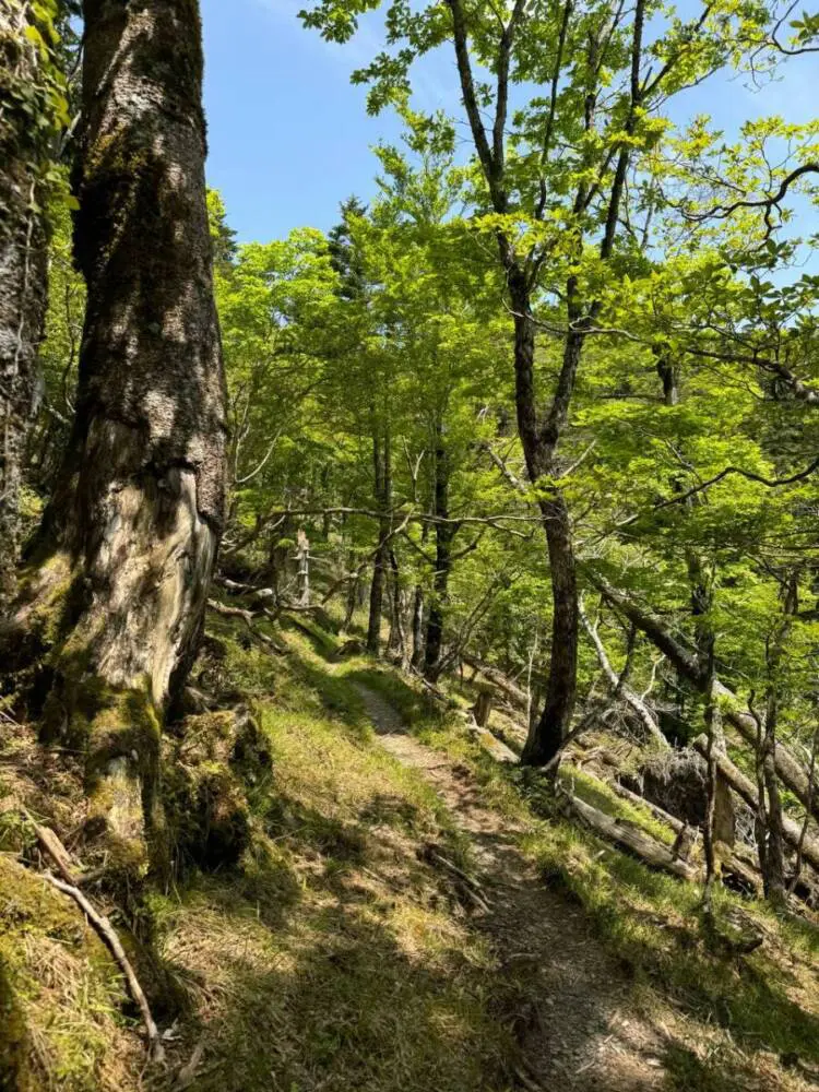 【登山活動】大峰山「山上ヶ岳」は壮大な光景が広がっていました。