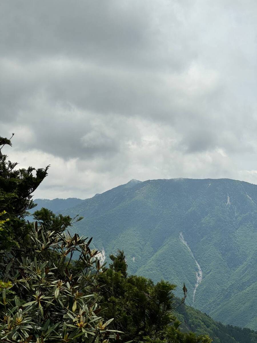 【登山日記】熊多発エリアの大普賢岳を周回、想像以上のアップダウン