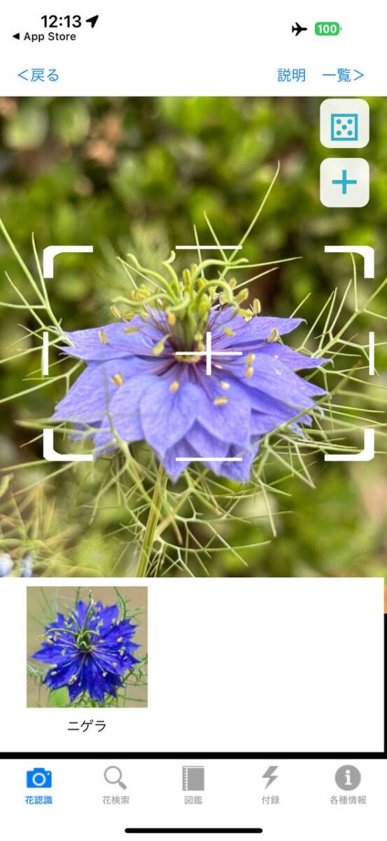 精度高い!! 登山中に植物や花の名前が分かるアプリが面白い 『花しらべ』