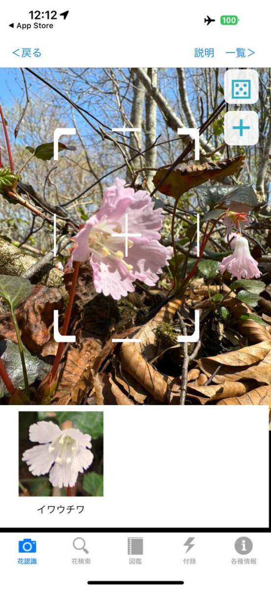 精度高い!! 登山中に植物や花の名前が分かるアプリが面白い 『花しらべ』