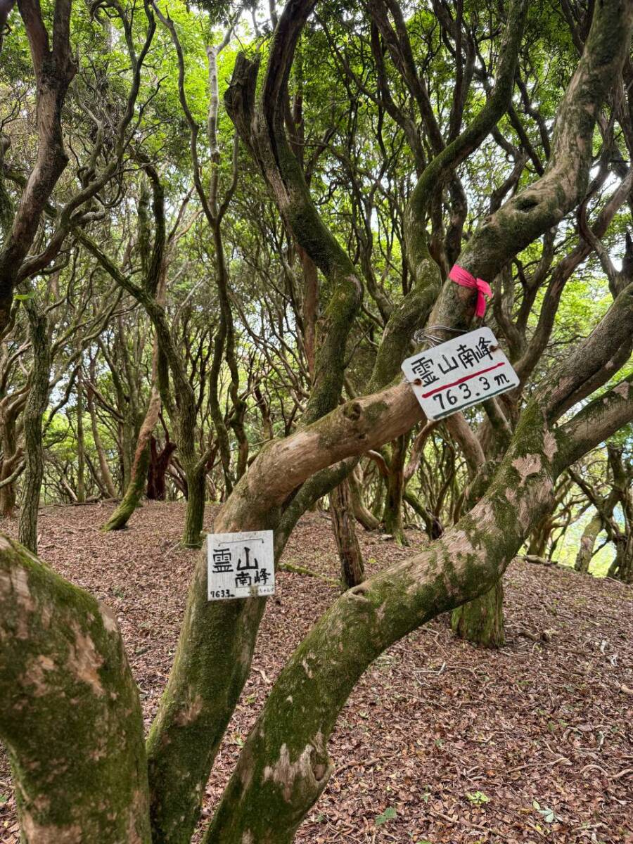 【登山活動】伊賀の街並みを眺めれる絶景の山「霊山」