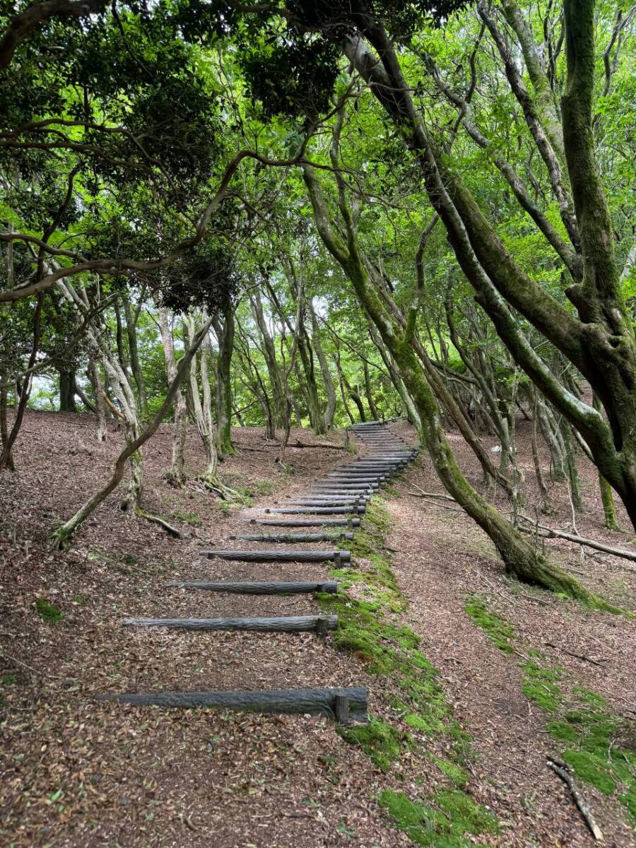 【登山活動】伊賀の街並みを眺めれる絶景の山「霊山」