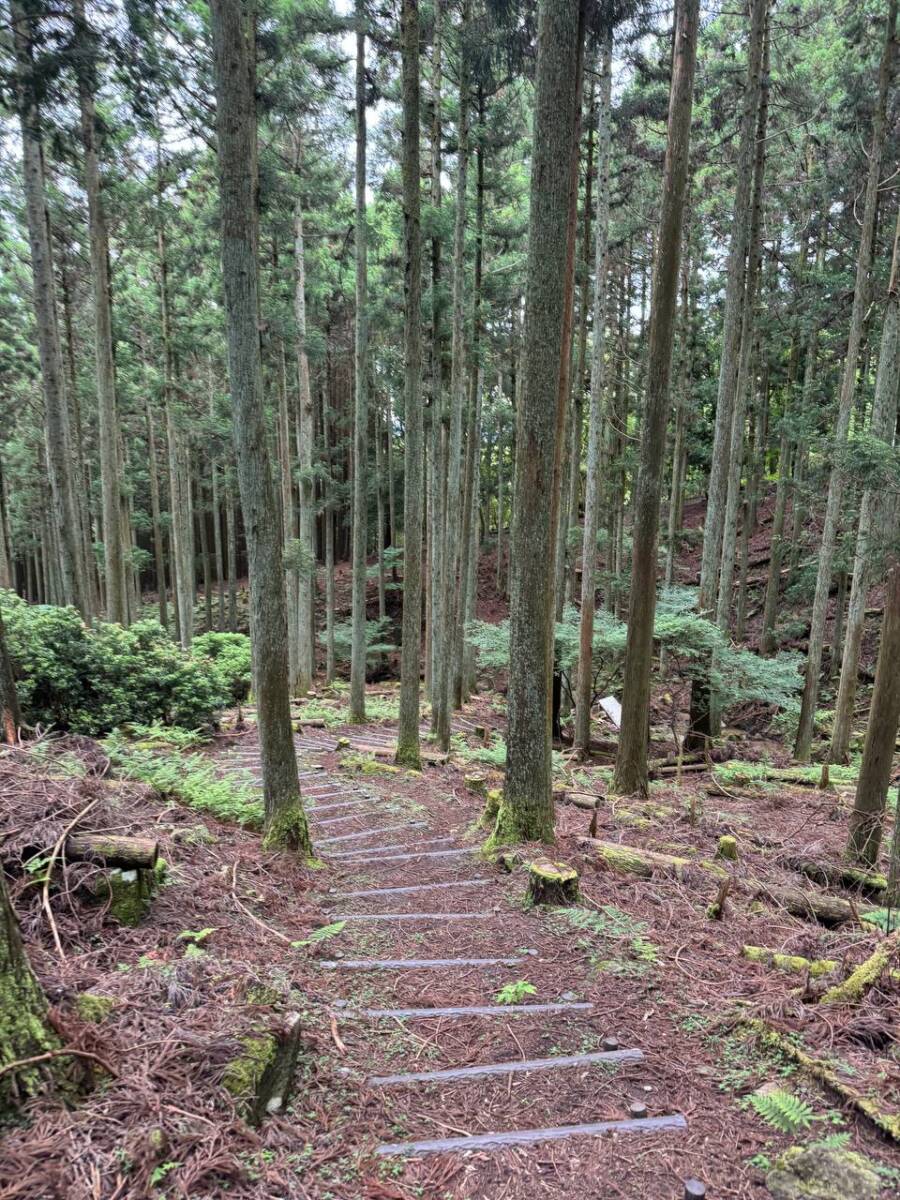 【登山活動】伊賀の街並みを眺めれる絶景の山「霊山」