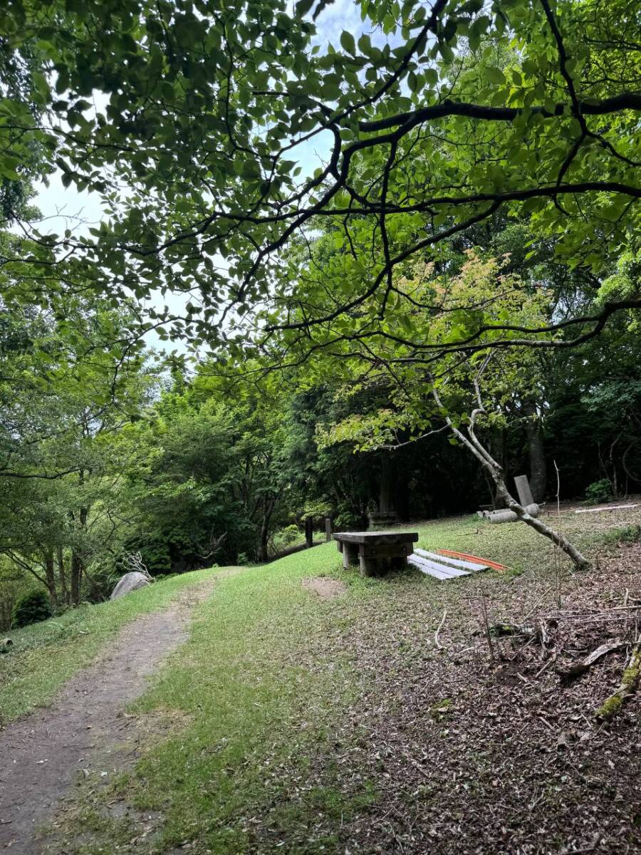 【登山活動】伊賀の街並みを眺めれる絶景の山「霊山」