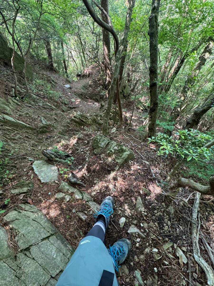 【登山活動】めっちゃ広い六甲山、大冒険ができる山でした。