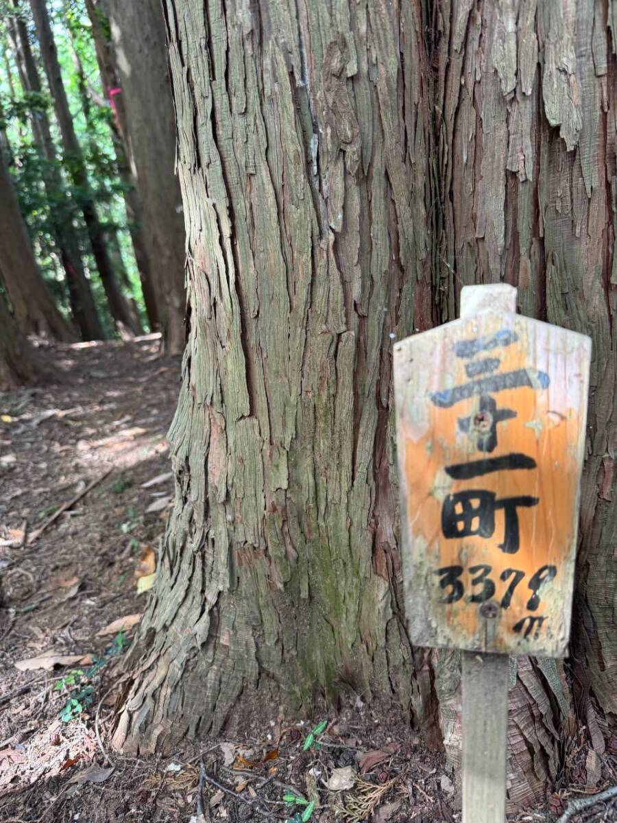 【登山活動】鈴の音アルプス全縦走、攻略方法を紹介