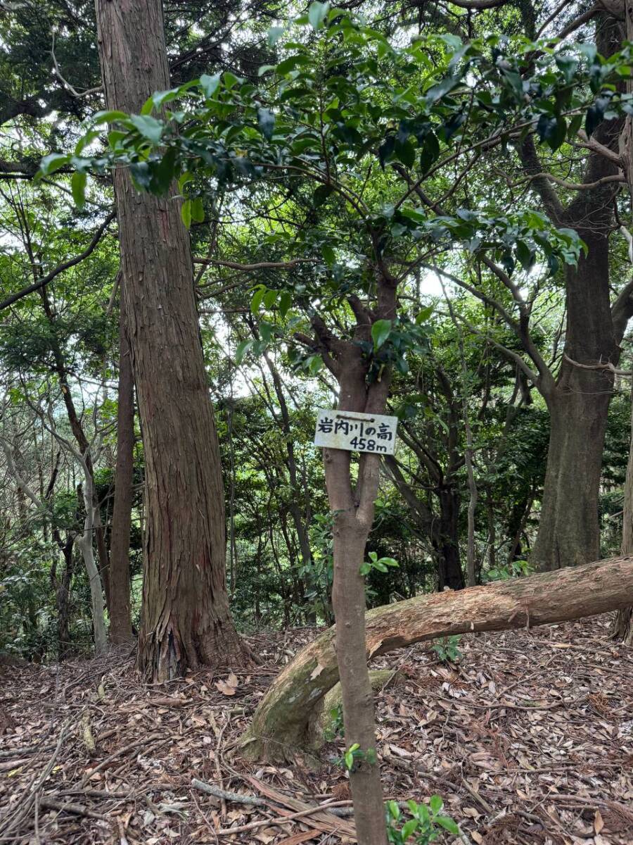 【登山活動】鈴の音アルプス全縦走、攻略方法を紹介