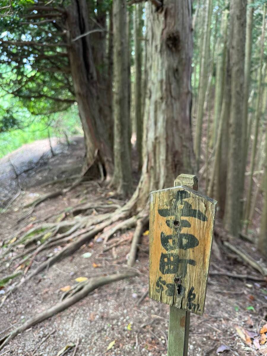 【登山活動】鈴の音アルプス全縦走、攻略方法を紹介