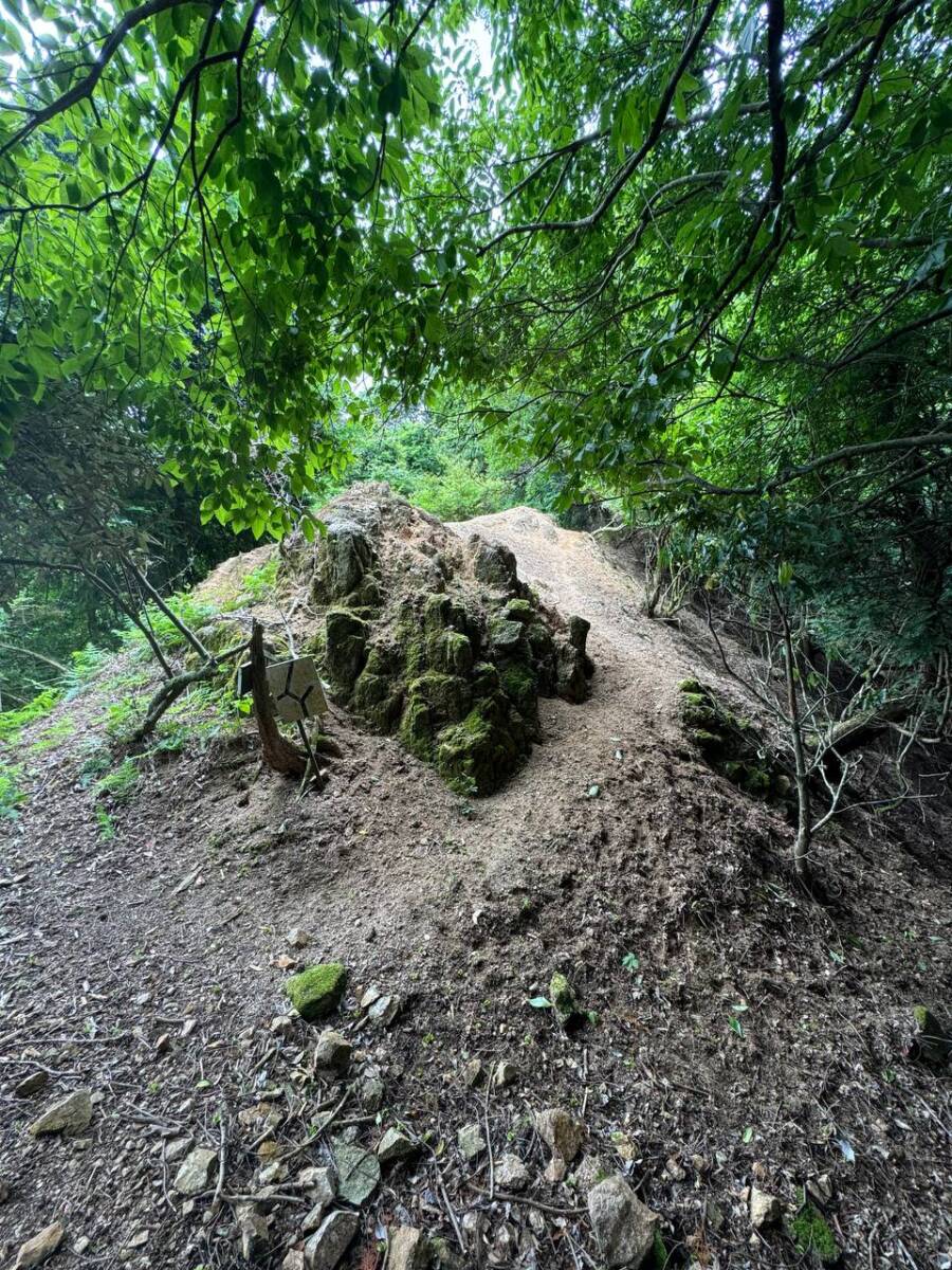 【登山活動】鈴の音アルプス全縦走、攻略方法を紹介