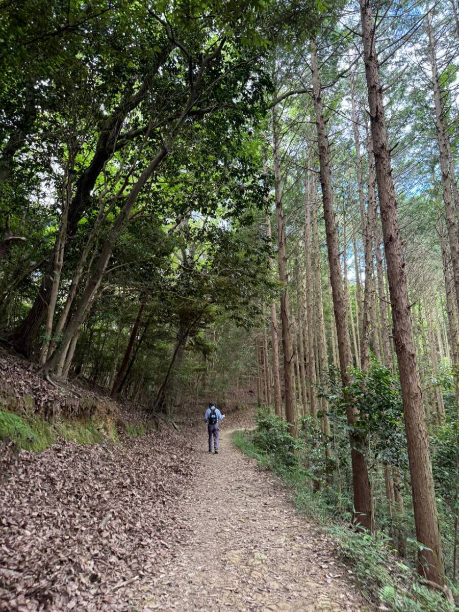 【登山活動】鈴の音アルプス全縦走、攻略方法を紹介