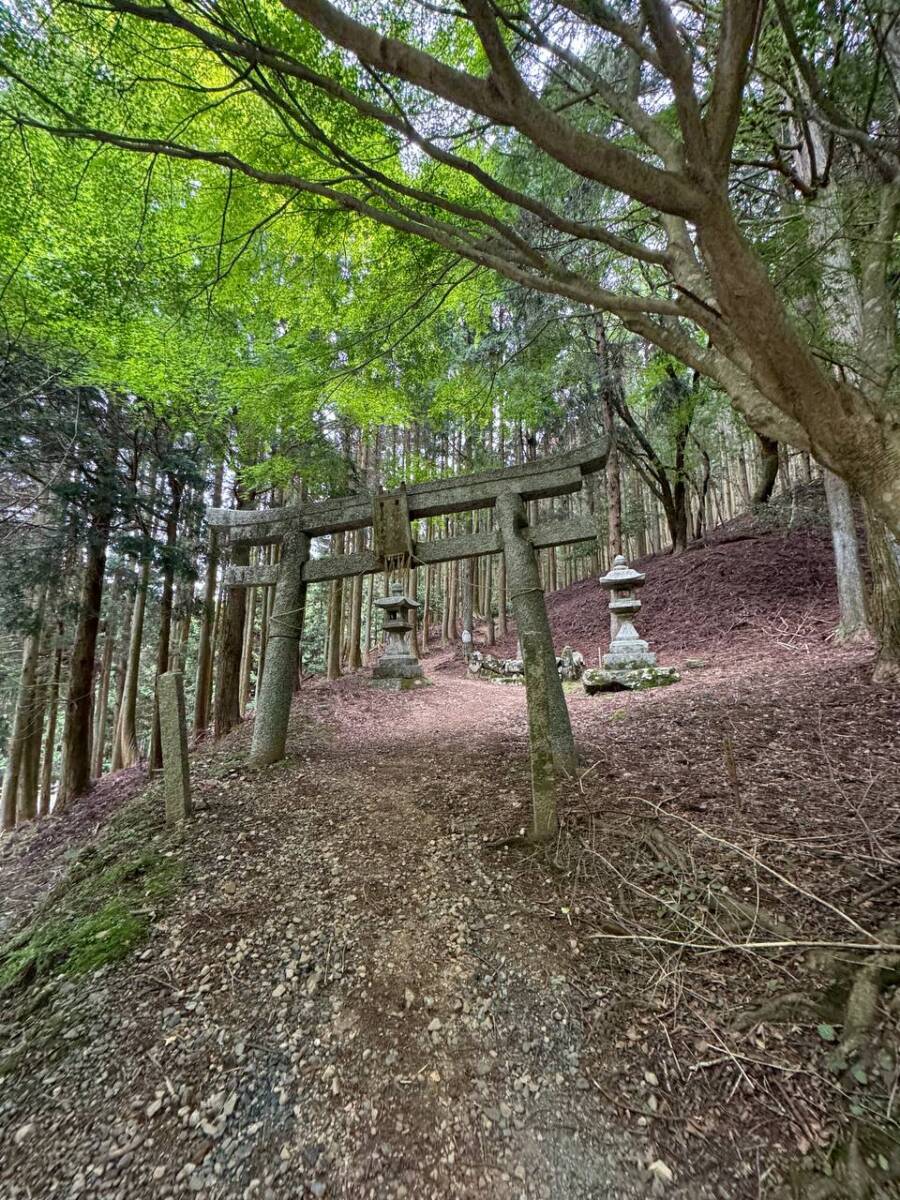 【登山活動】鈴の音アルプス全縦走、攻略方法を紹介