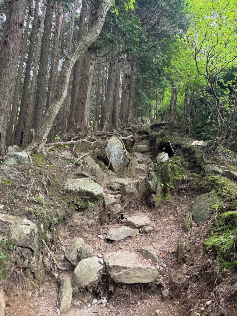 【登山活動】鈴の音アルプス全縦走、攻略方法を紹介