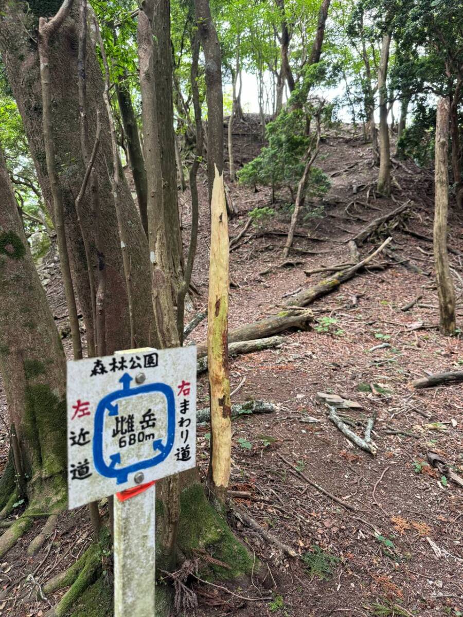 【登山活動】鈴の音アルプス全縦走、攻略方法を紹介