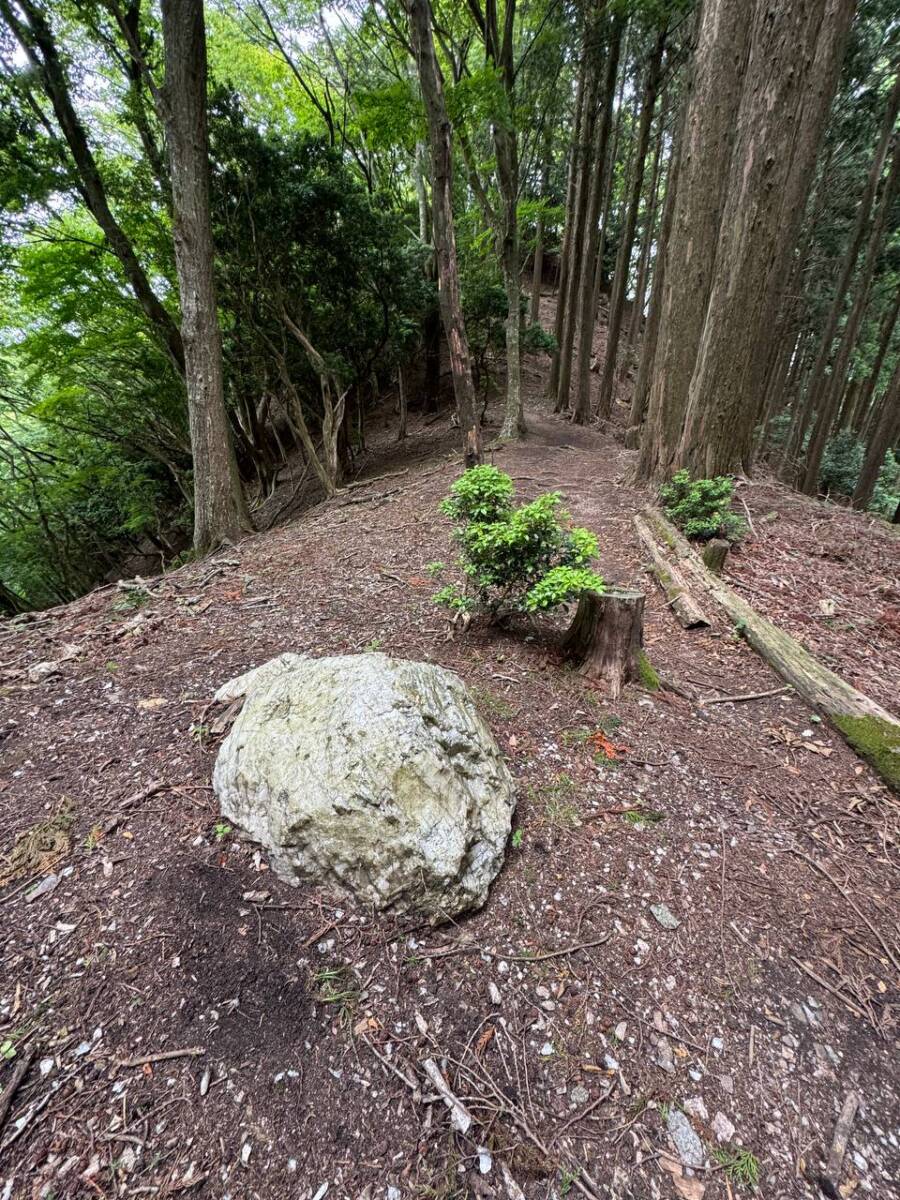 【登山活動】鈴の音アルプス全縦走、攻略方法を紹介