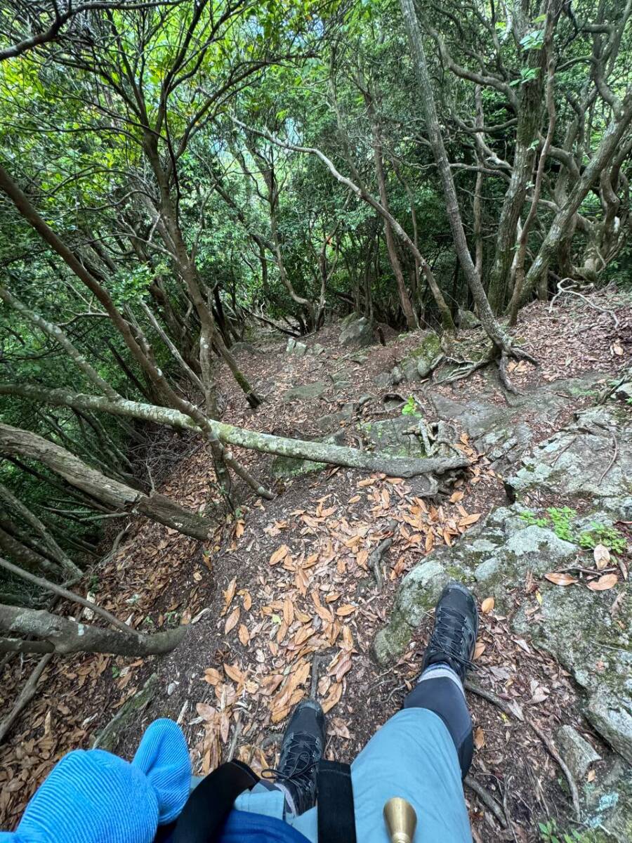 【登山活動】鈴の音アルプス全縦走、攻略方法を紹介