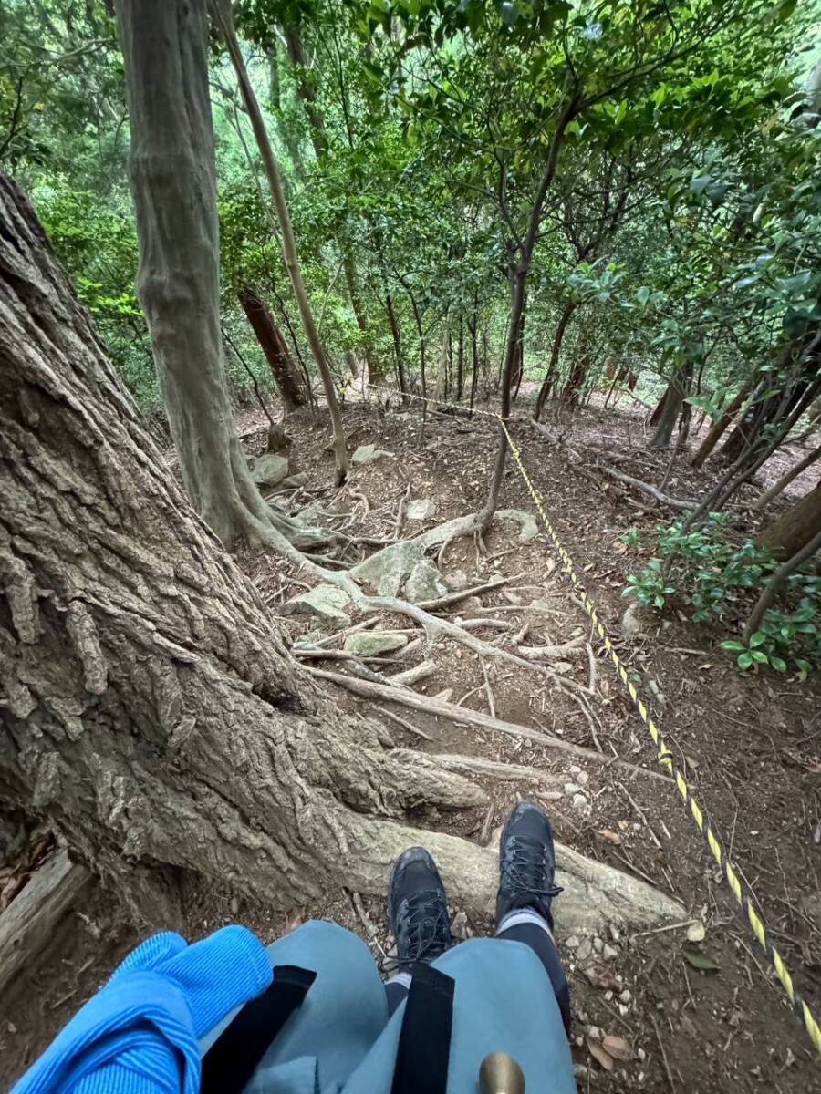 【登山活動】鈴の音アルプス全縦走、攻略方法を紹介