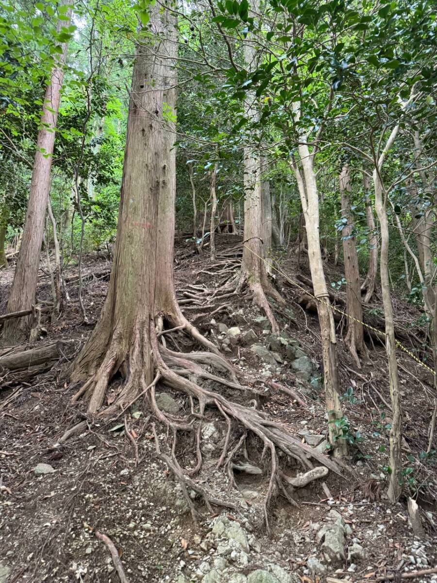 【登山活動】鈴の音アルプス全縦走、攻略方法を紹介