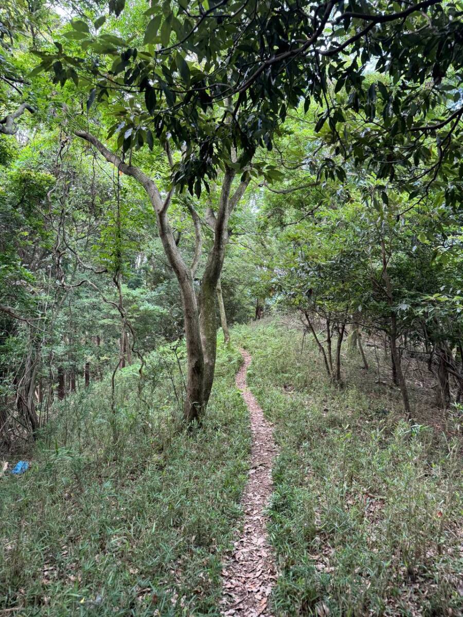 【登山活動】鈴の音アルプス全縦走、攻略方法を紹介