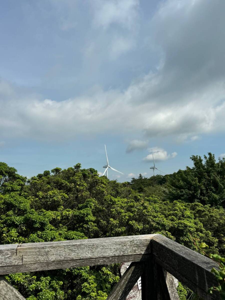 【登山日記】間近で大迫力の風車を見ながらハイキング「青山高原」