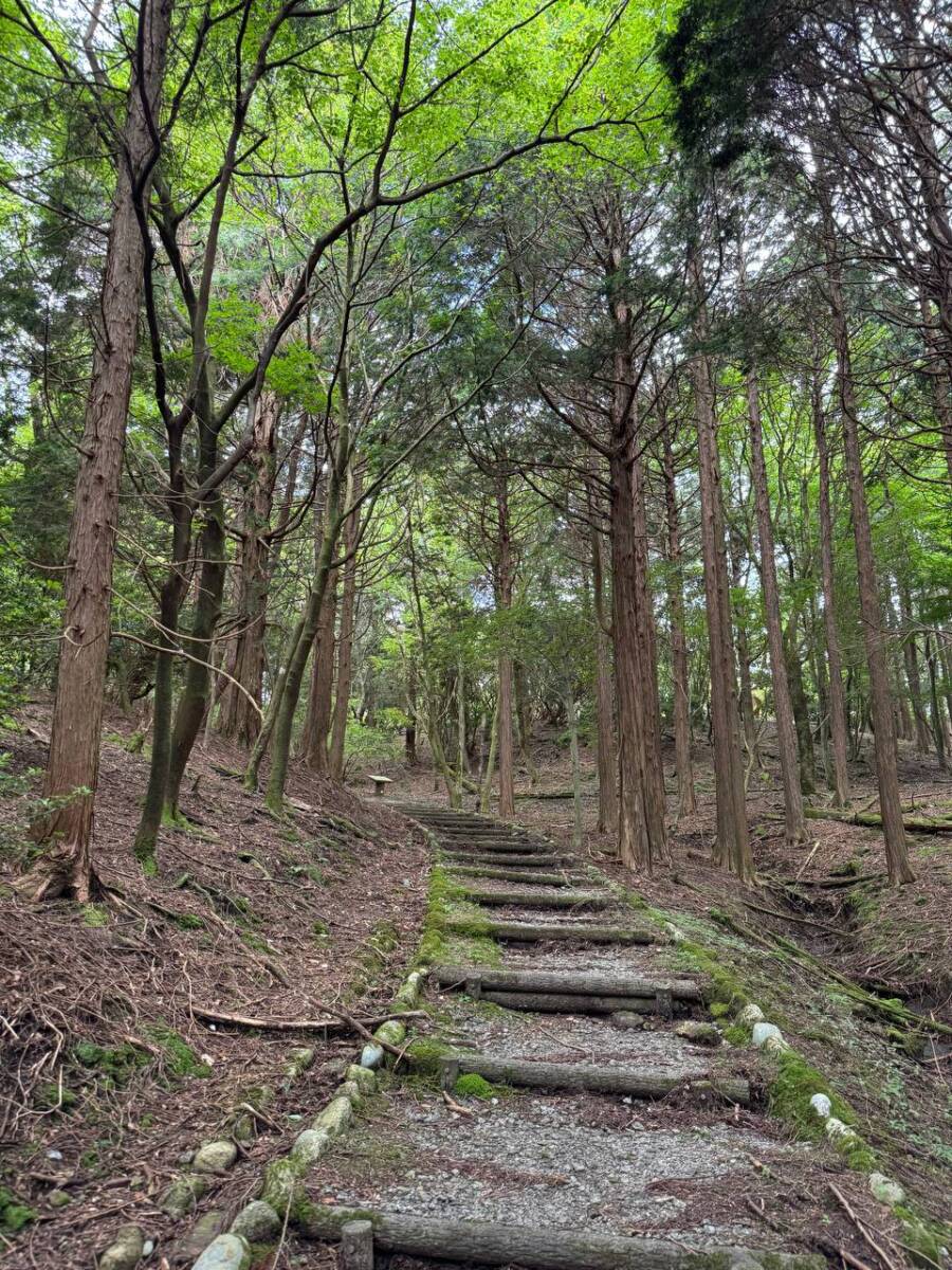 【登山日記】間近で大迫力の風車を見ながらハイキング「青山高原」