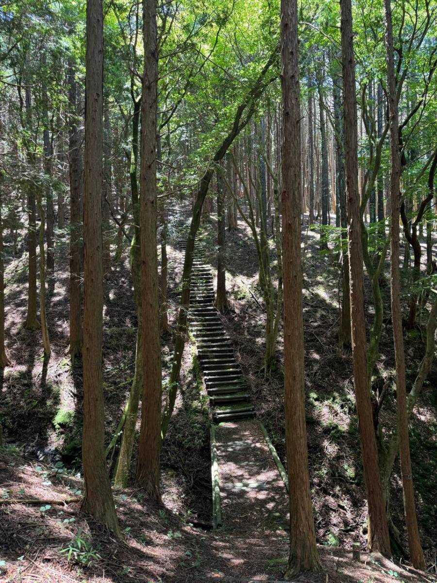 【登山日記】間近で大迫力の風車を見ながらハイキング「青山高原」