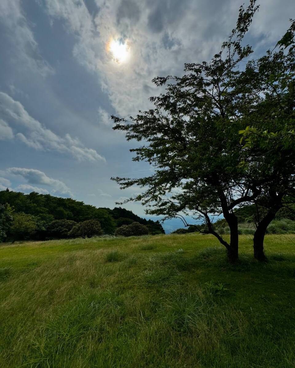 【登山日記】間近で大迫力の風車を見ながらハイキング「青山高原」