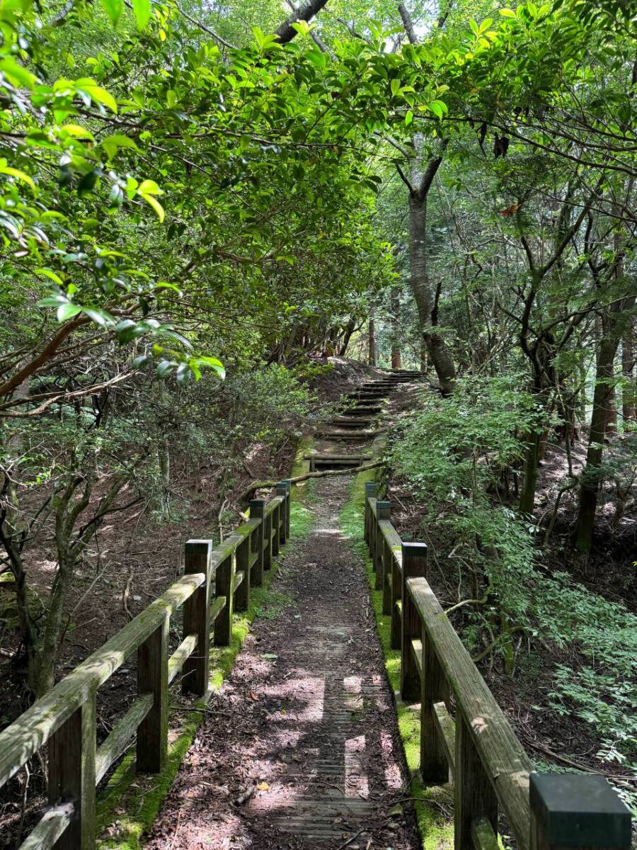 【登山日記】間近で大迫力の風車を見ながらハイキング「青山高原」