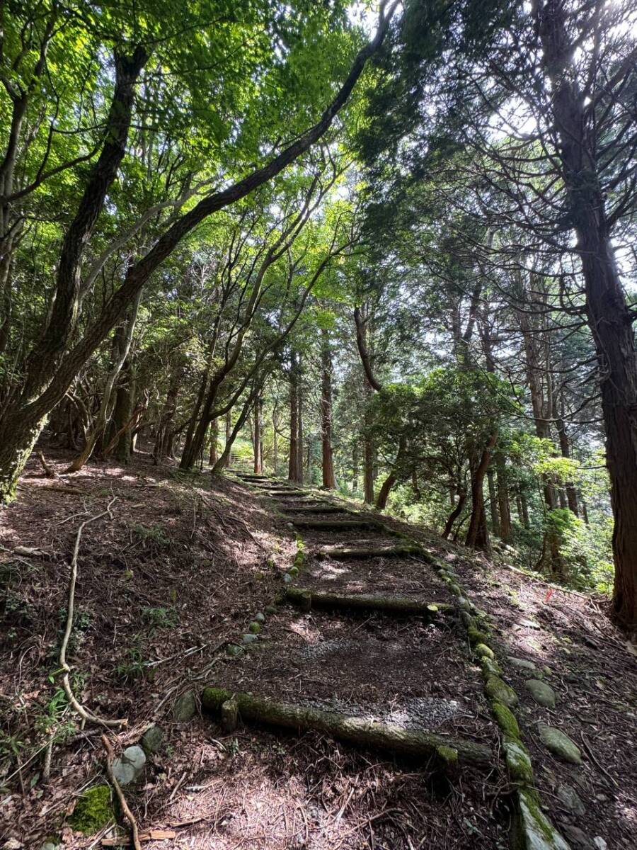 【登山日記】間近で大迫力の風車を見ながらハイキング「青山高原」