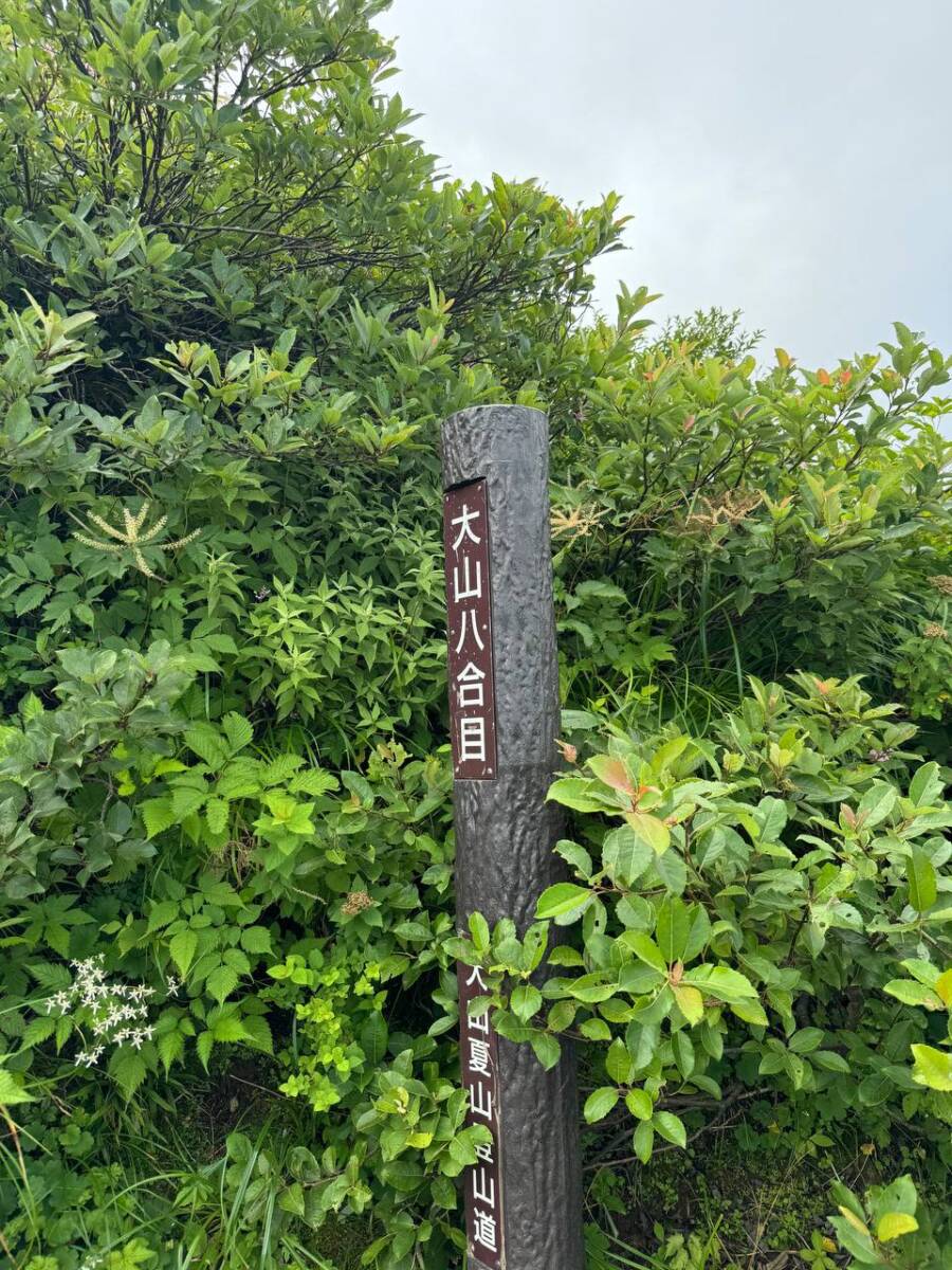 日本百名山「大山」中国地方最高峰の山は絶景が広がっていました