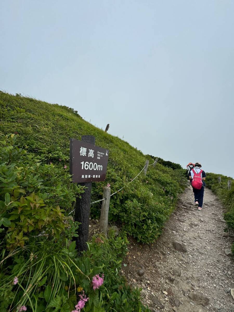 日本百名山「大山」中国地方最高峰の山は絶景が広がっていました