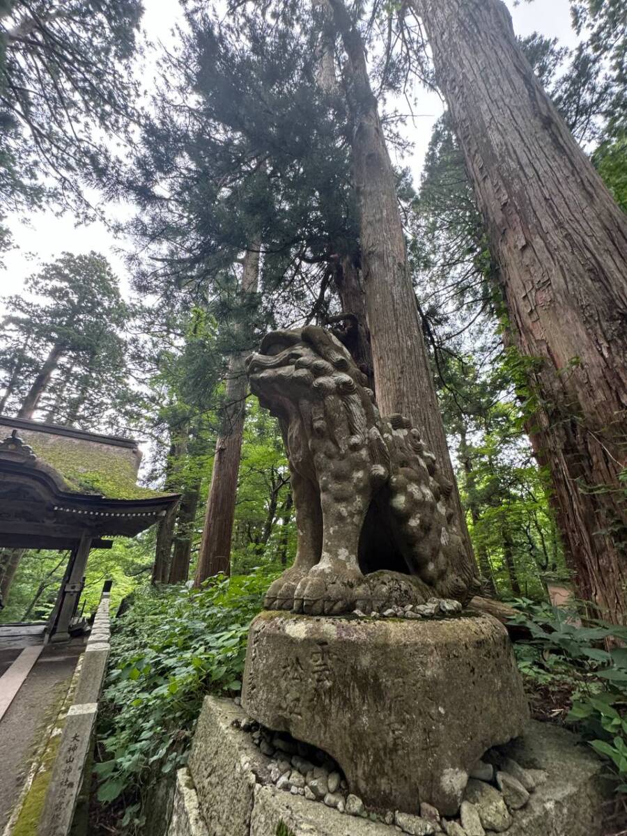 日本百名山「大山」中国地方最高峰の山は絶景が広がっていました