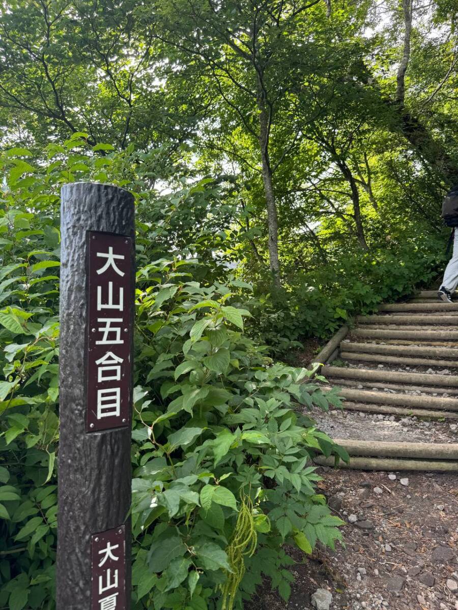 日本百名山「大山」中国地方最高峰の山は絶景が広がっていました