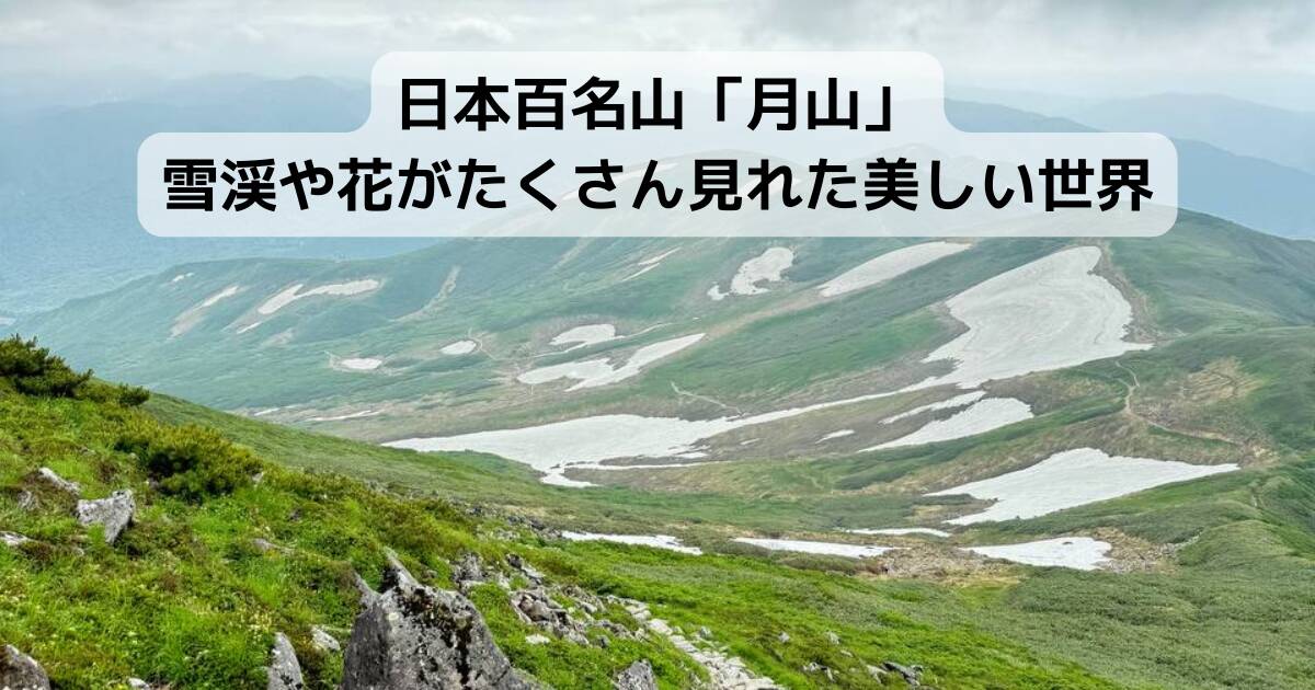 【登山日記】日本百名山「月山」雪渓や花がたくさん見れた美しい世界