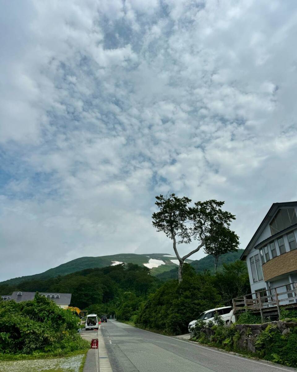 【登山日記】日本百名山「月山」雪渓や花がたくさん見れた美しい世界