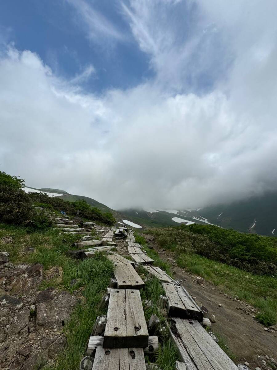 【登山日記】日本百名山「月山」雪渓や花がたくさん見れた美しい世界